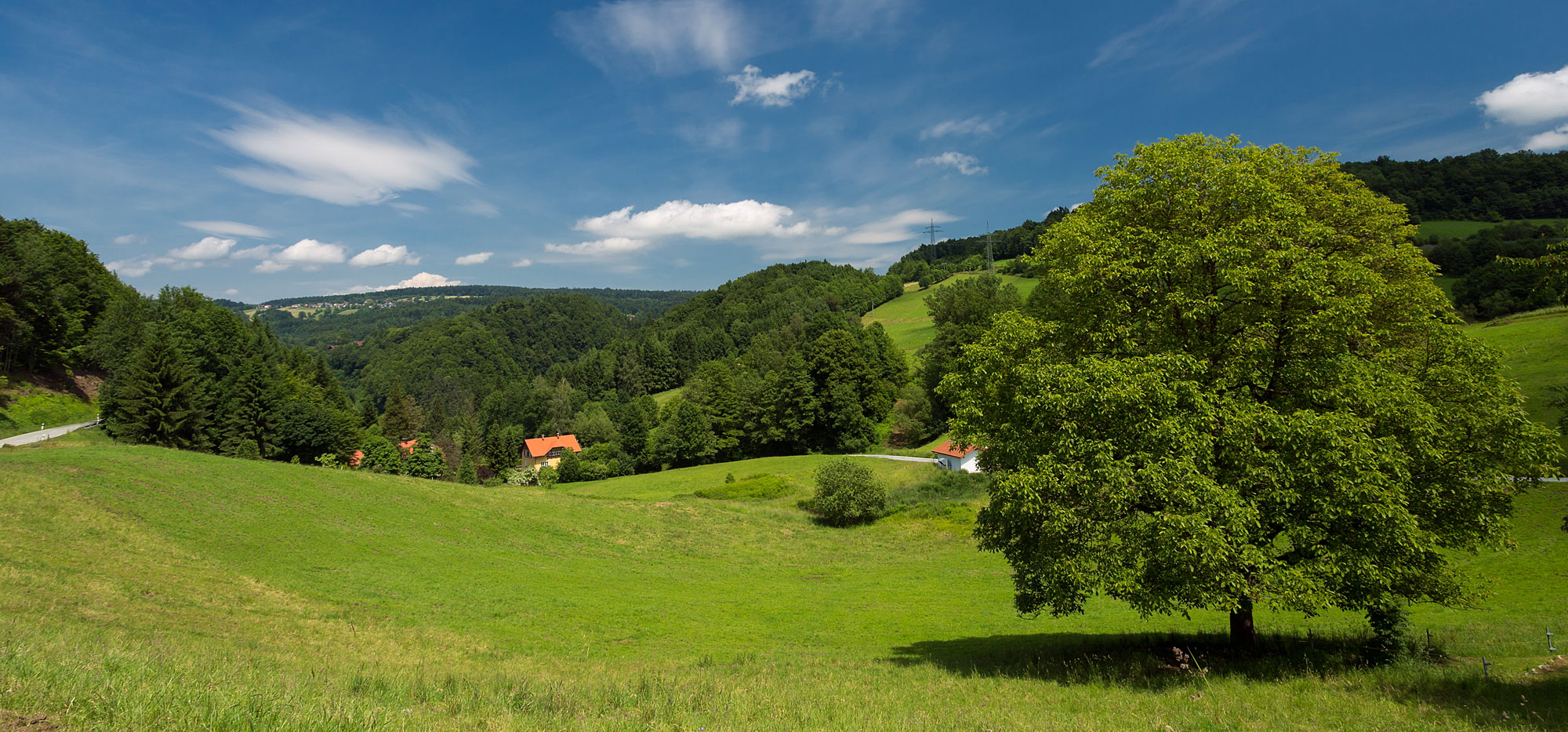 Natur im Bayerischen Wald